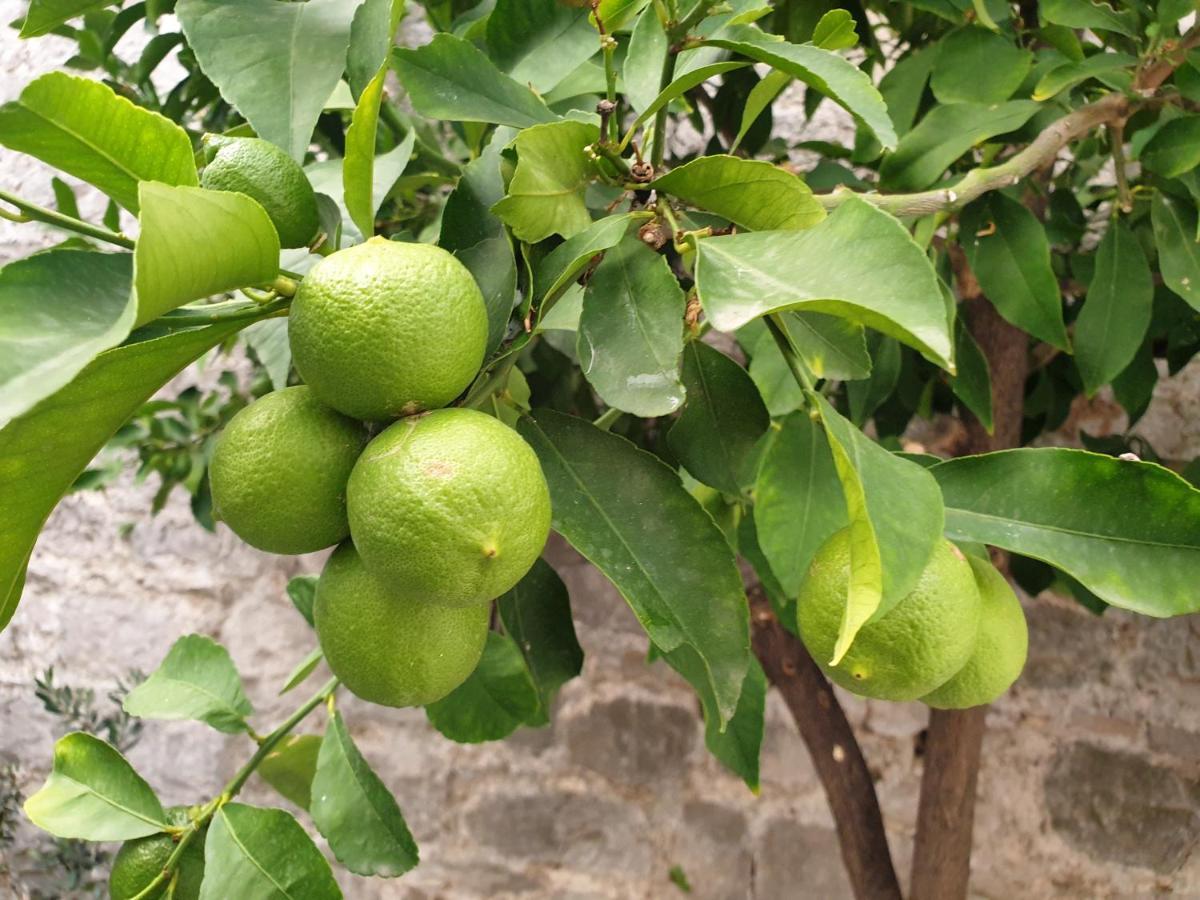 多恩基瑟盖特 Lemon Tree酒店 外观 照片