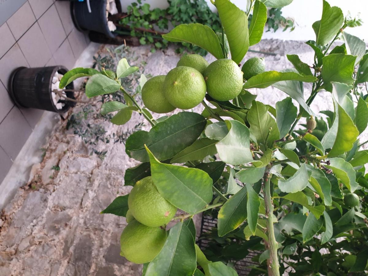 多恩基瑟盖特 Lemon Tree酒店 外观 照片